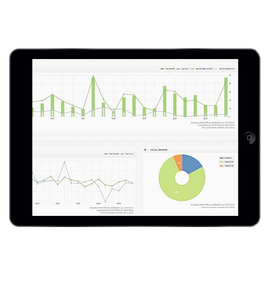 Dashboard-Google-Analytics-Performance-Antonelle WSHOP 535x557