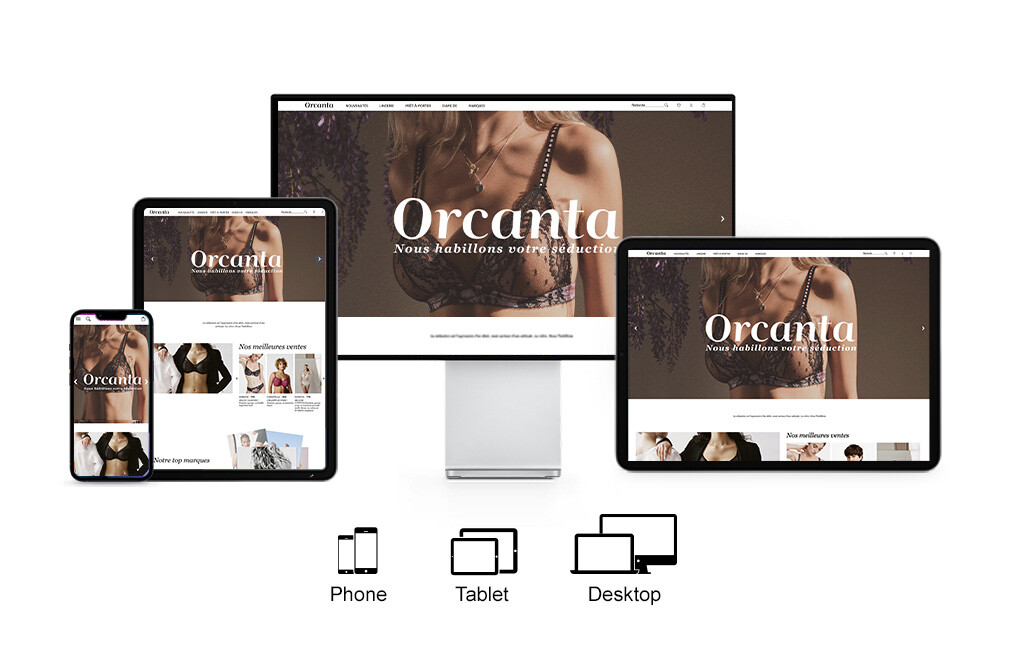 Orcanta-Transformation-Digitale Mock-Up 1009x672